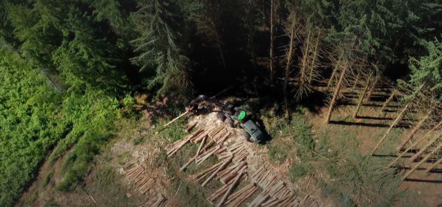 La face cachée des forêts françaises