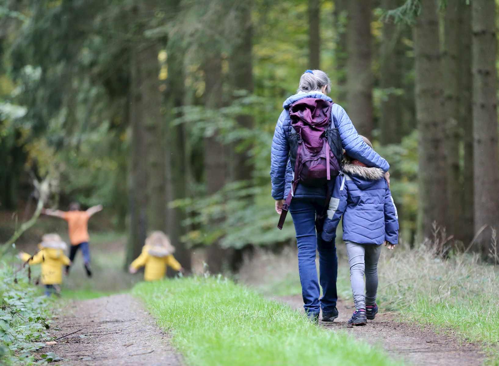 Forêt Sanctuaire