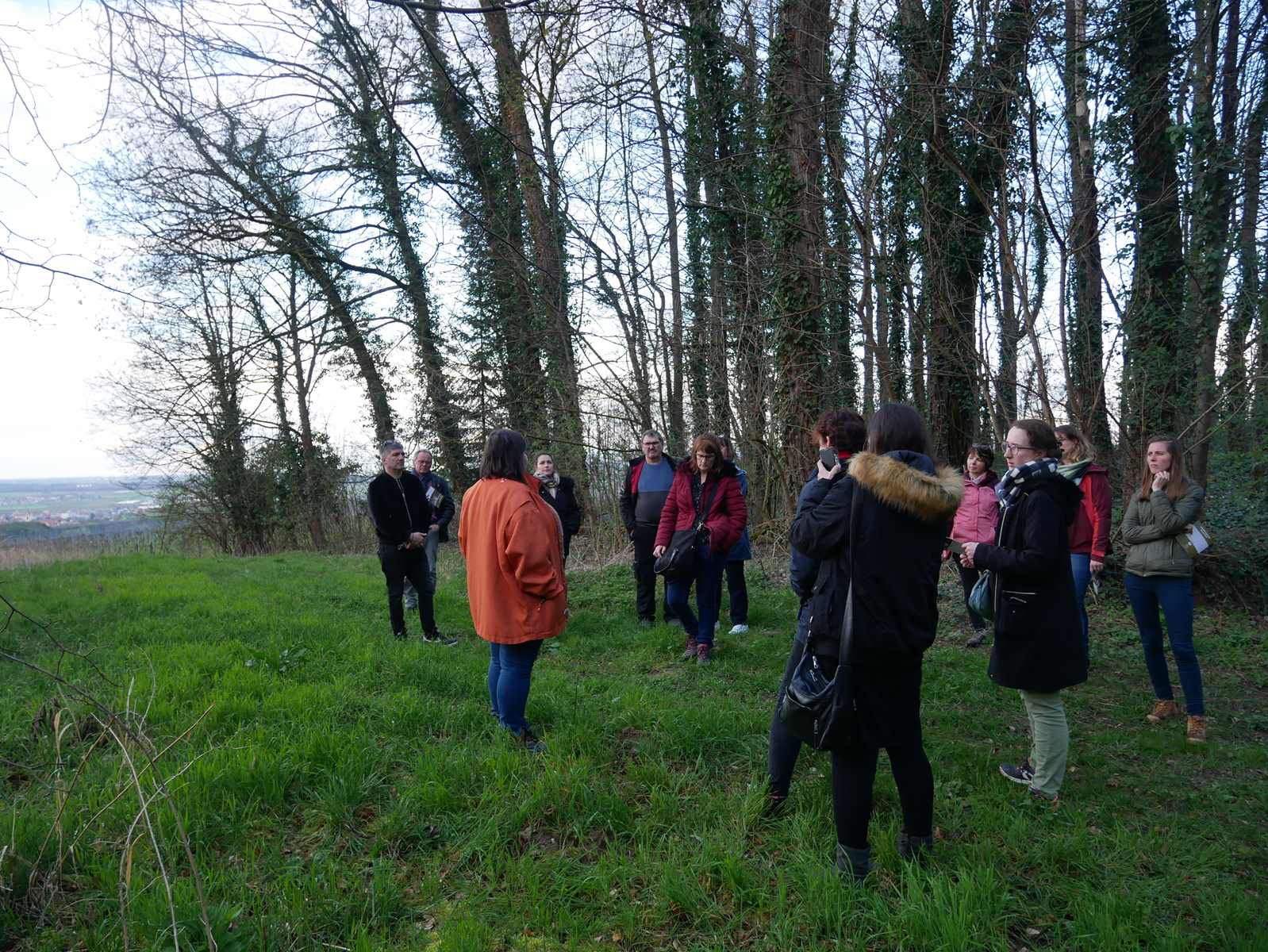 Forêt Sanctuaire Kayserstuhl