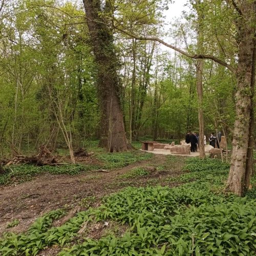 La Forêt Sanctuaire : une sépulture durable et une forêt sanctuarisée