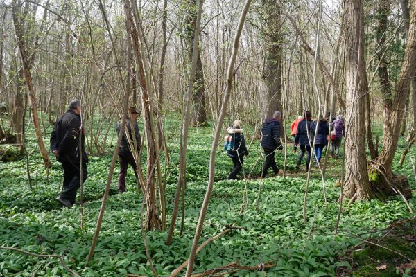 Visite des Forêts Sanctuaires de Muttersholtz et du Kaiserstuhl