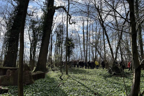 Forêt Sanctuaire - devenir acteur pour créer des espaces favorisant la biodiversité et le bien-être des humains.