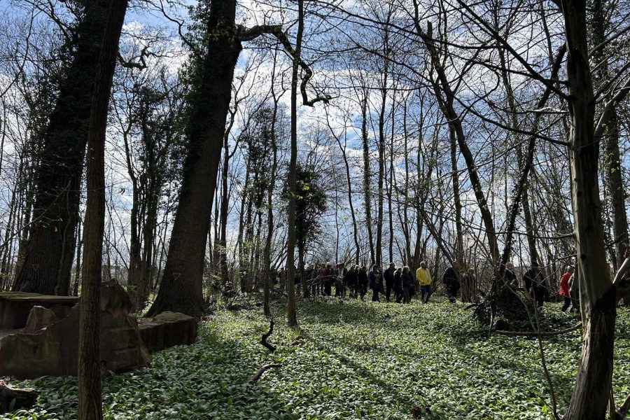 Forêt Sanctuaire - devenir acteur pour créer des espaces favorisant la biodiversité et le bien-être des humains.