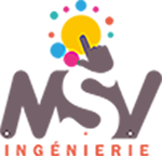 MSV logo