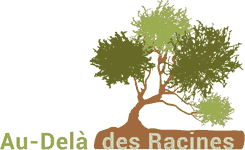 Au-delà des racines