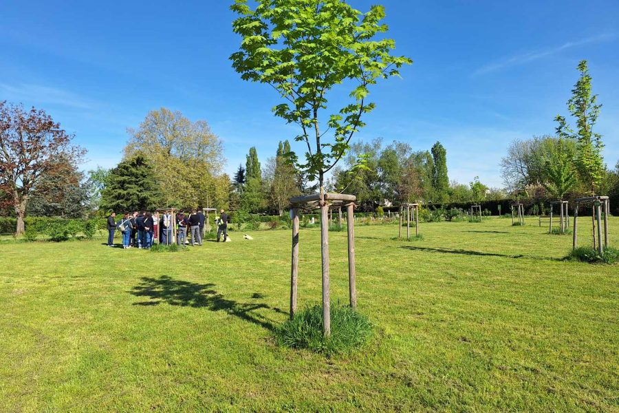 Forêt Sanctuaire