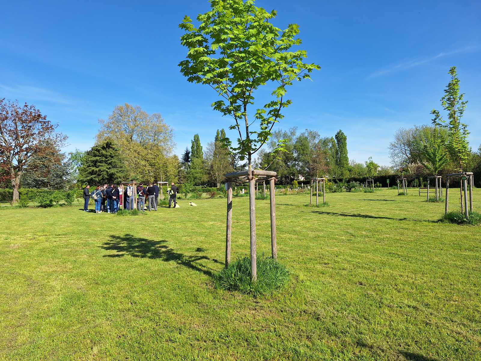 La Forêt Sanctuaire de Schiltigheim, un an après