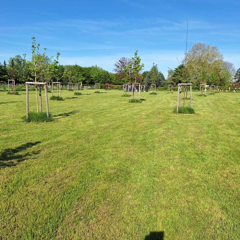 Forêt Sanctuaire : Schiltigheim, une future forêt en pleine ville