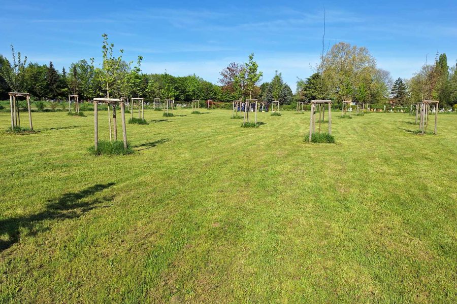 Forêt Sanctuaire : Schiltigheim, une future forêt en pleine ville