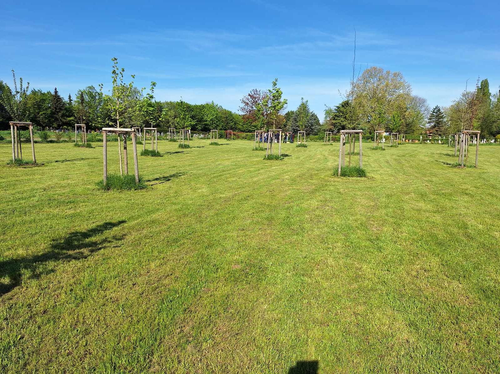 LA FORÊT SANCTUAIRE DE SCHILTIGHEIM (67)