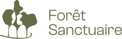La forêt Sanctuaire