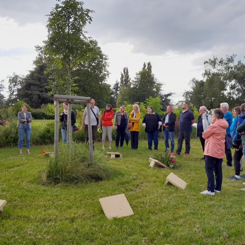 Forêt Sanctuaire : participation de l'association au GTI Climat