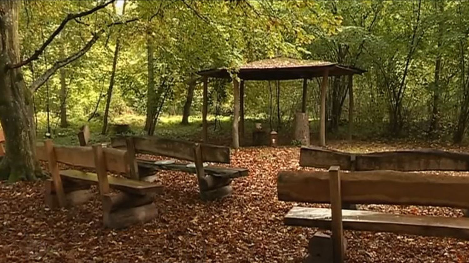 La Forêt Sanctuaire en Allemagne : une pratique courante depuis plus de 20 ans