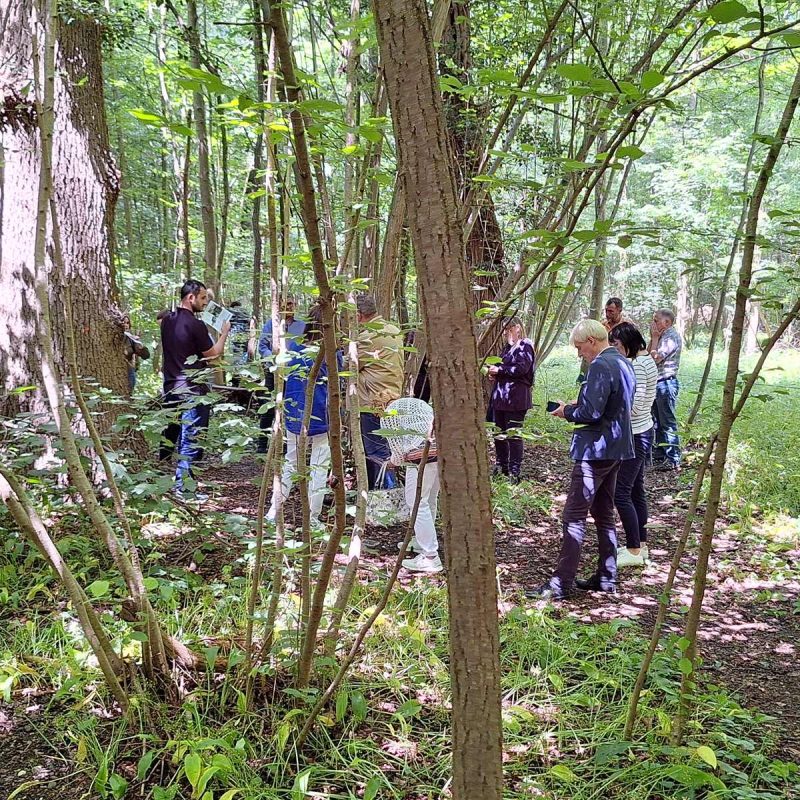 Visite de la Forêt Sanctuaire de Muttersholtz du 4 juin 2024