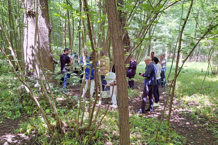 Visite de la Forêt Sanctuaire de Muttersholtz du 4 juin 2024