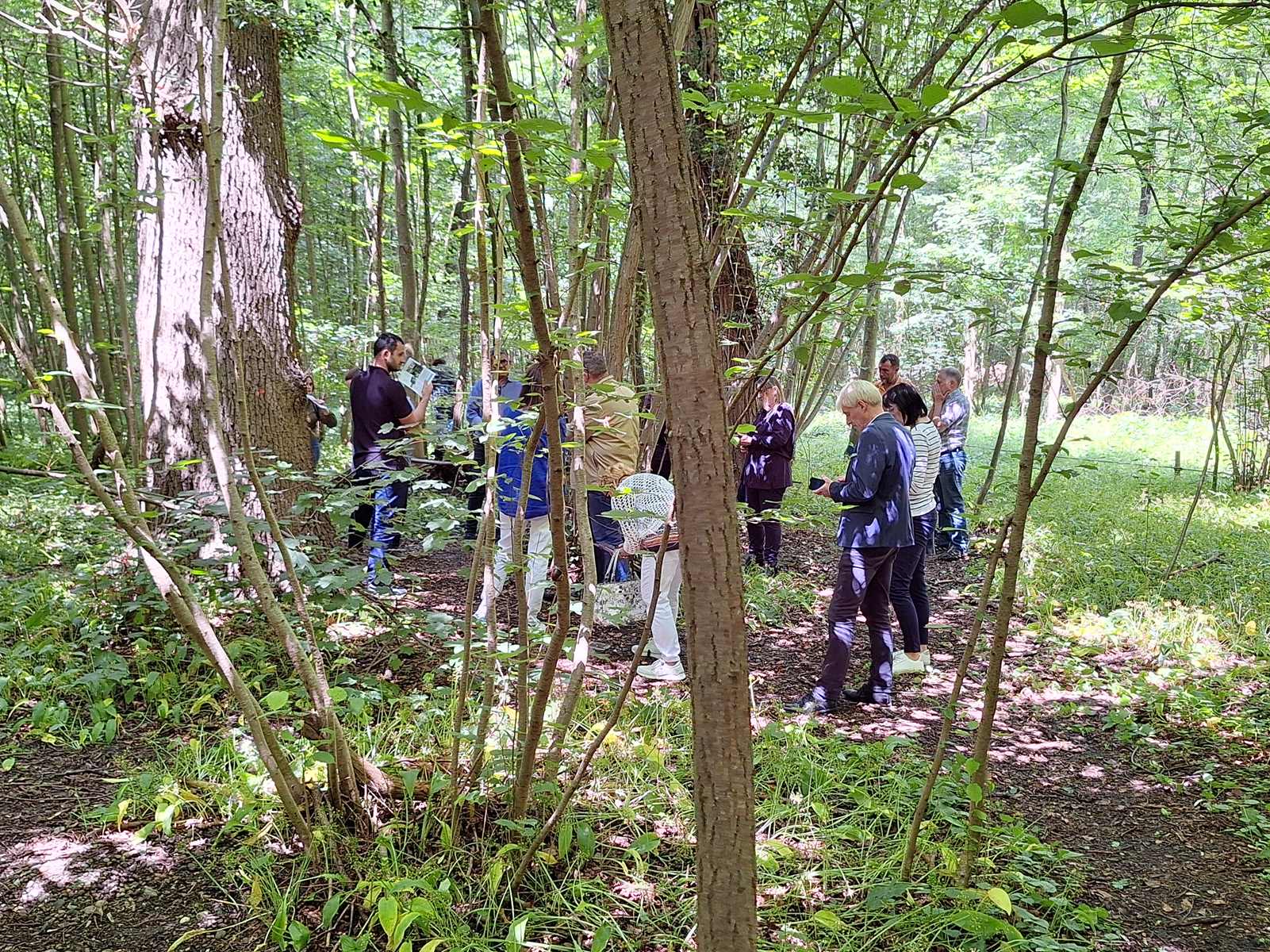 Nouvelle visite dans la Forêt Sanctuaire de Muttersholtz et Kaiserstuhl