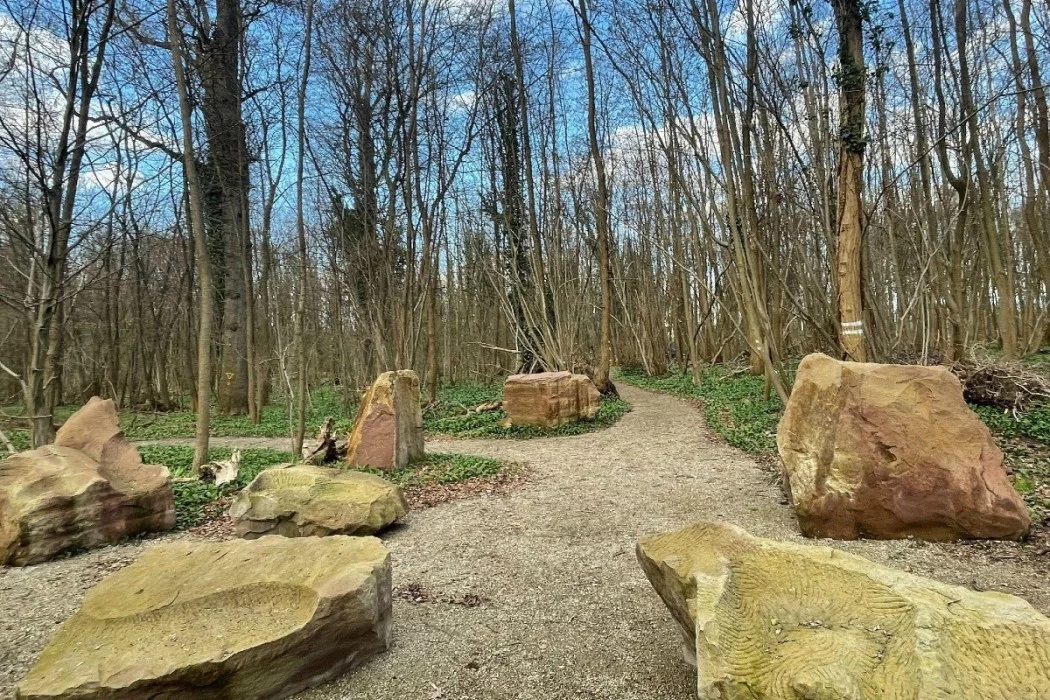 Cendres funéraires : ils préfèrent la forêt au cimetière