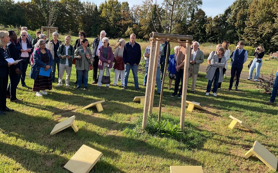 Bas-Rhin : à Schiltigheim, une forêt cimetière plantée en plein centre-ville