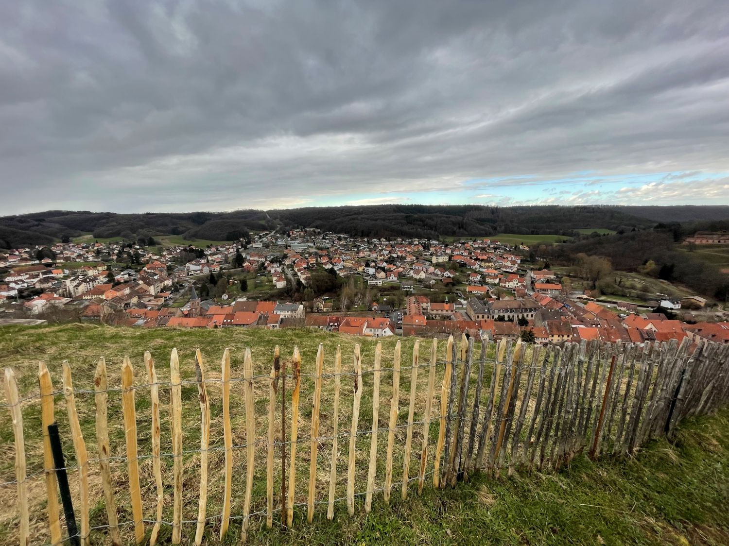 Bitche : Le projet de « Forêt Sanctuaire » expliqué lors d’une réunion publique