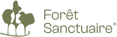 La forêt Sanctuaire