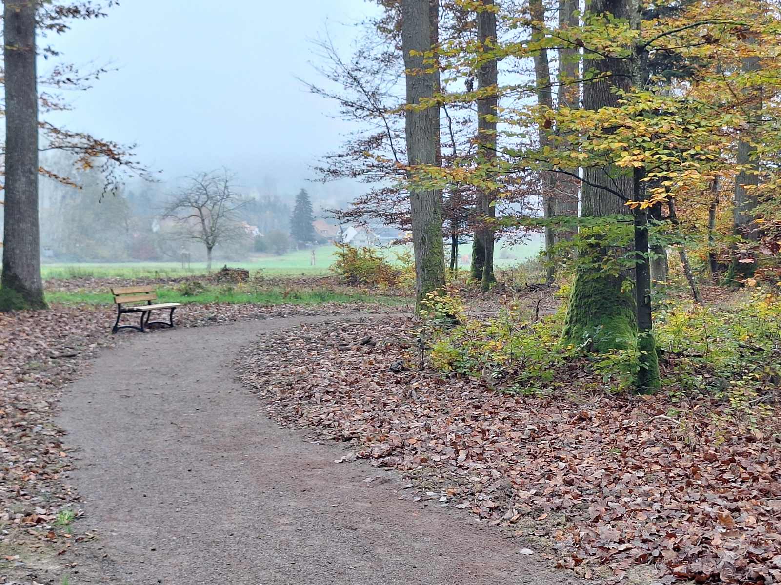 La 3ème Forêt Sanctuaire de France